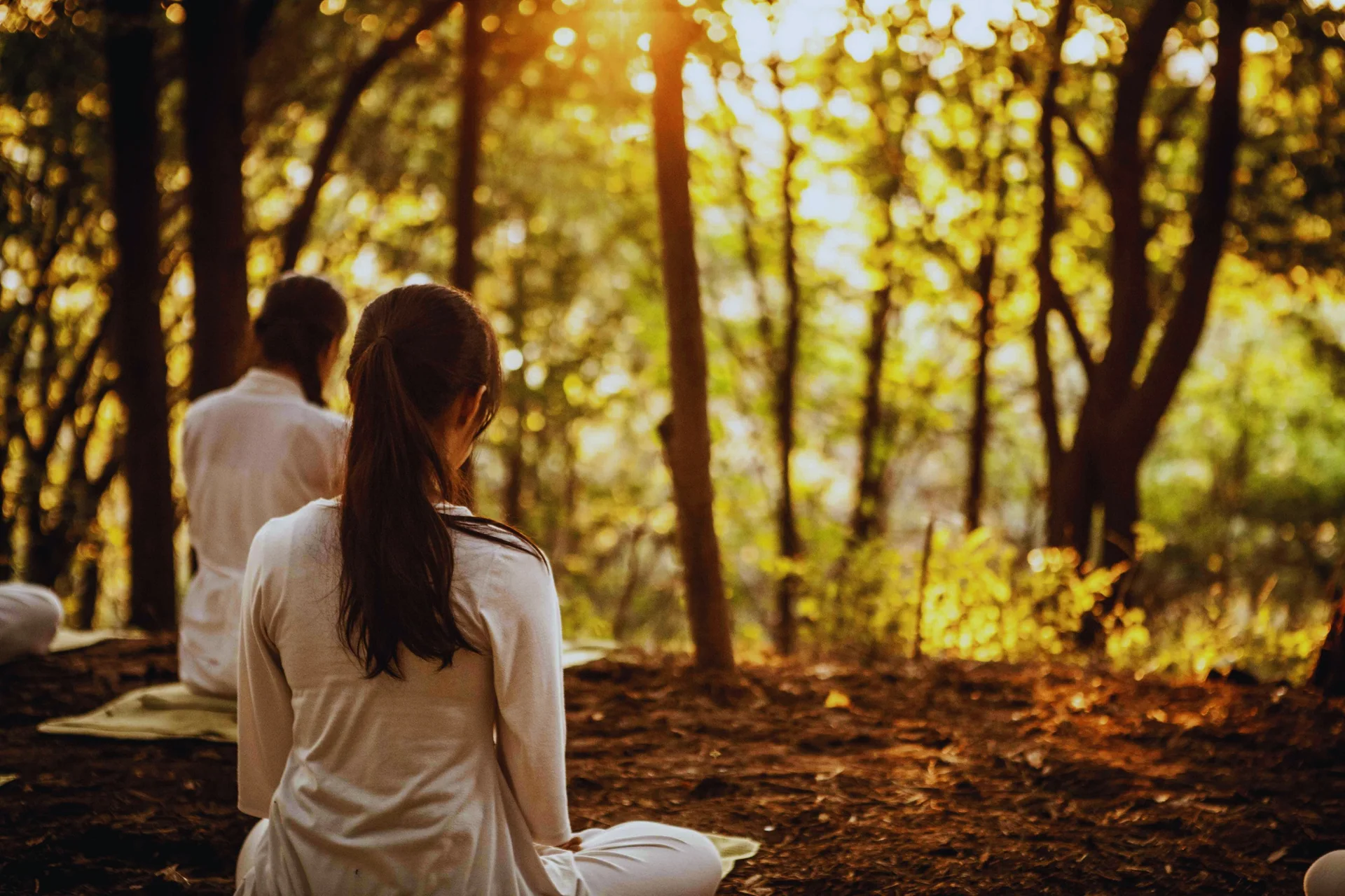 Aromas de Cura — experiência sensorial de bem-estar